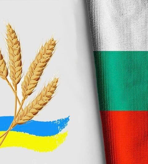 Ukrainian grain