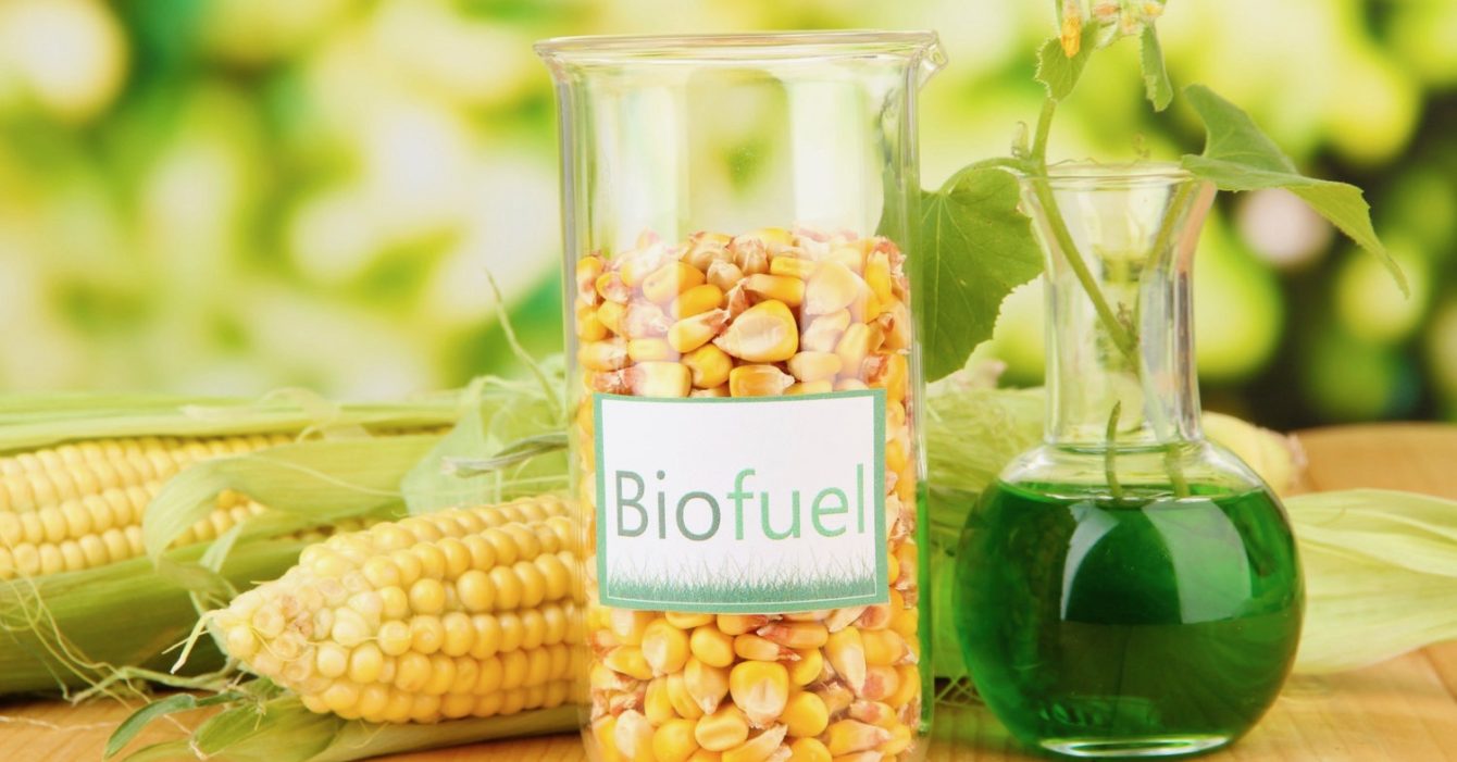 biofuels 2 - 1