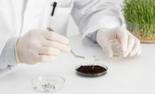 Fertilizer Analysis Services