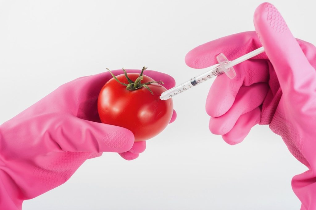 Allergens and GMO Testing Services