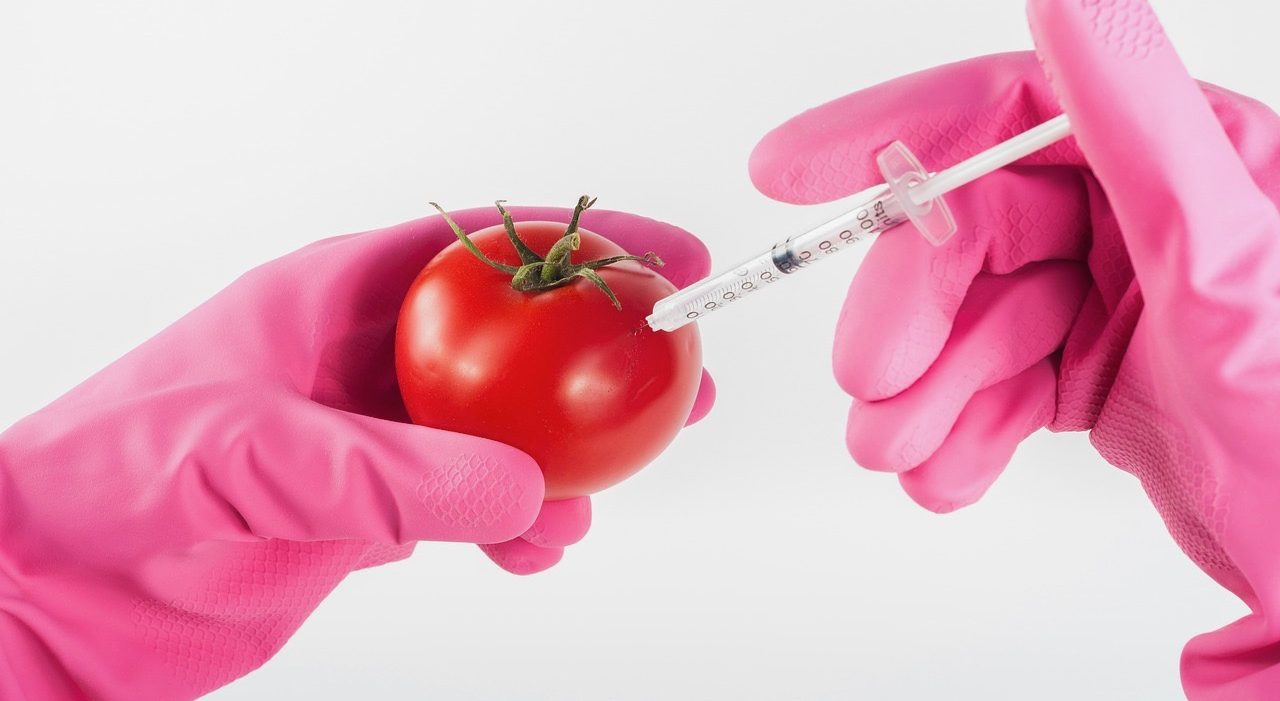 Allergens and GMO Testing Services