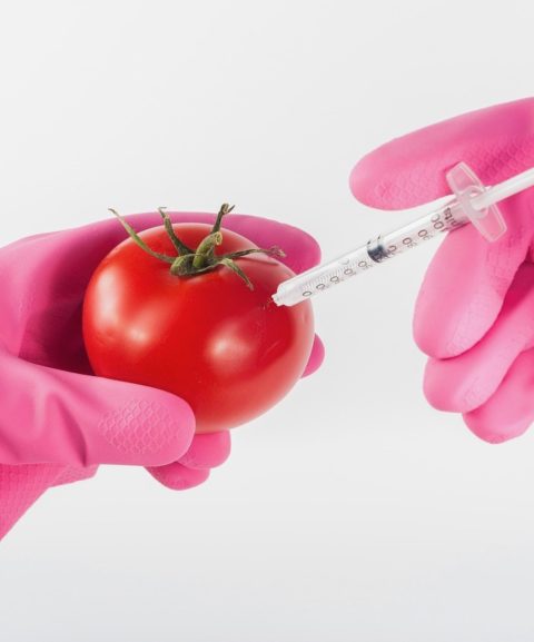 Allergens and GMO Testing Services