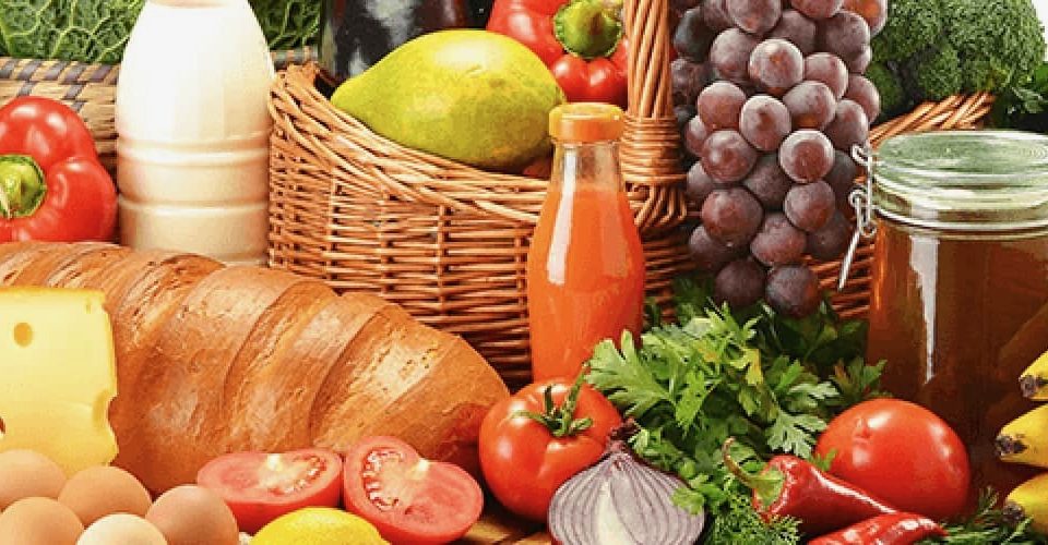 food banner 2 - 1 Food Testing Lab
