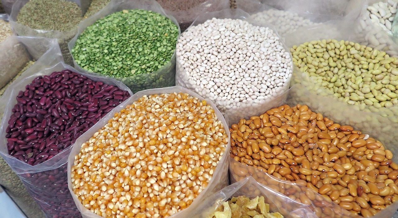 Grain Testing Lab in Egypt