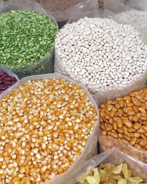 Pulses 3 Grain Testing Lab in Egypt