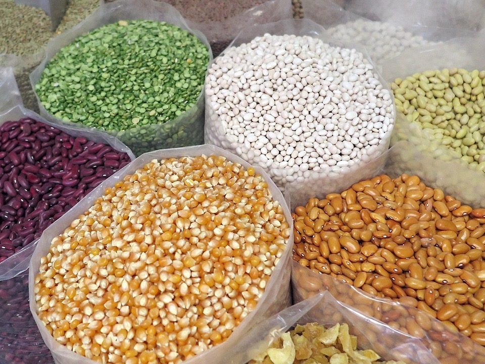 Pulses 3 Grain Testing Lab in Egypt