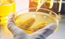 Oil Testing Lab in Egypt
