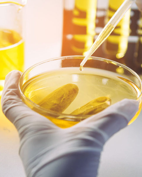 Oil Testing Lab in Egypt