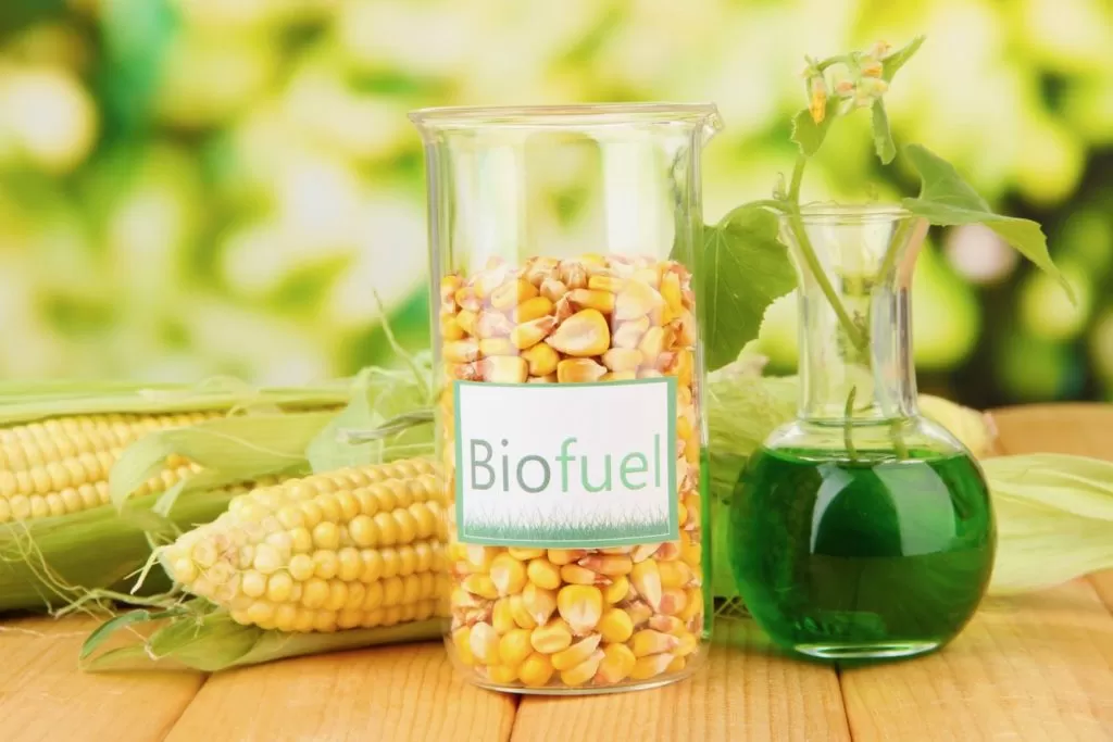 Biofuels 2 1