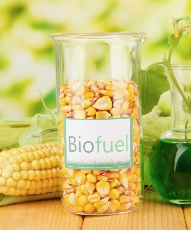 Biofuels 2 1