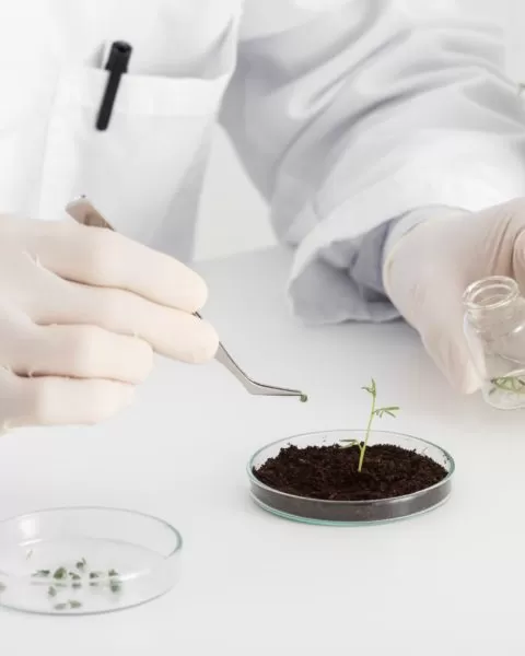 Fertilizer Analysis Services