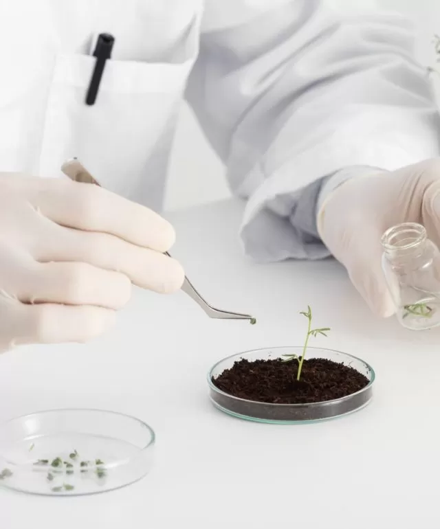 Fertilizer Analysis Services