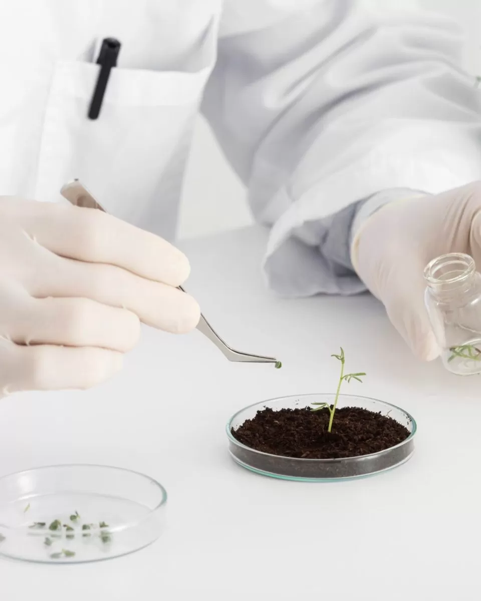 Fertilizer Analysis Services