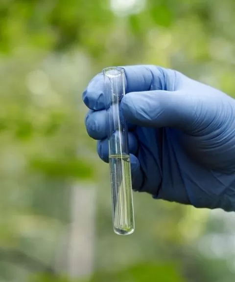 Environmental and Water Treatment courses