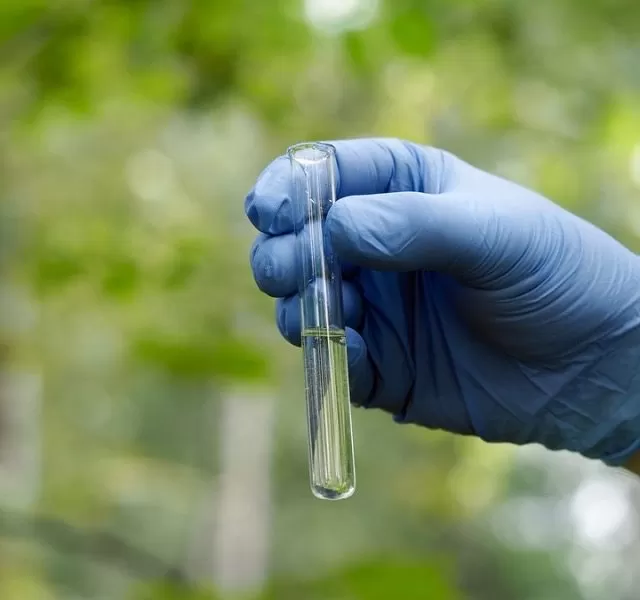 Environmental and Water Treatment courses