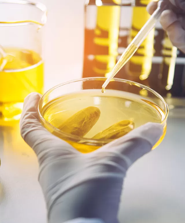 Laboratory Testing and Analysis