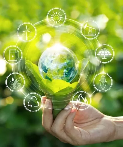 Environmental Impact & Compliance Services