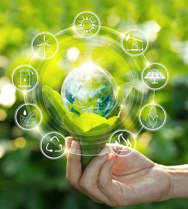 Environmental Impact & Compliance Services