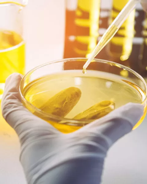 Oil Testing Lab in Egypt