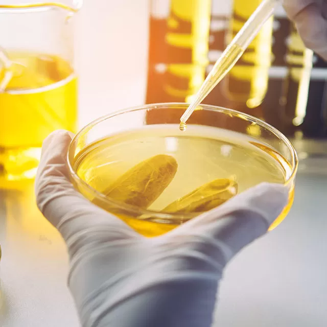 Laboratory Serv Edited